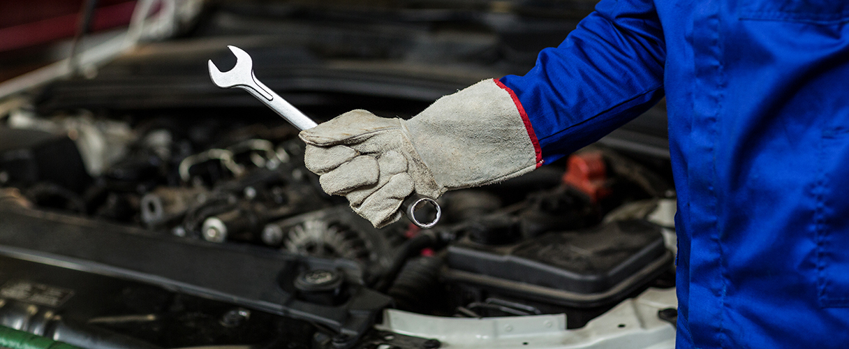 Promoción del Mes de Junio